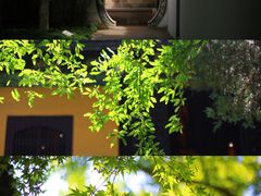 -西园寺