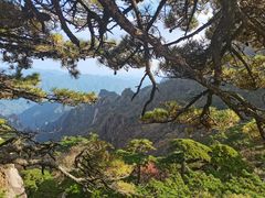 -黄山风景区