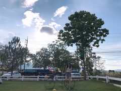 -黄色小屋