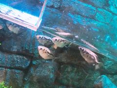 -沈阳海洋探索中心