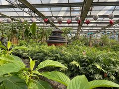 -南宫五洲植物乐园