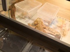 -华声天桥民俗文化园