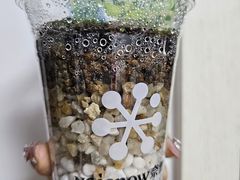 -奈雪的茶(永嘉天地东百城店)