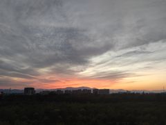 -The Tiki Bungalow提基小木屋酒吧