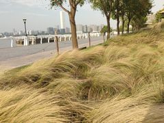 -上海山野camping·户外天幕烧烤·团建拓展营地