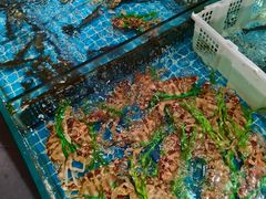 -東城故事·尋找姆媽的味道(玉兰路店)