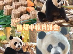 -广州长隆野生动物世界