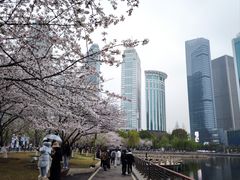 -西北湖绿化广场