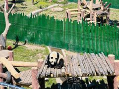 -沈阳森林动物园