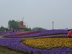 -杭州湾海上花田景区