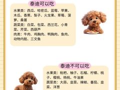 -联合动物医院(光谷诊疗中心)