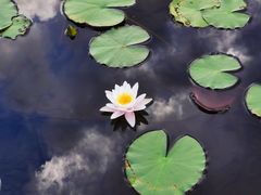 -白马涧龙池景区