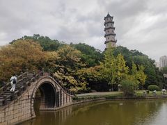 -江心屿景区