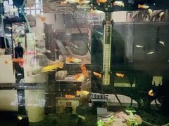 -万景饭店·鱼街农家菜