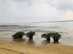 -霞山观海长廊