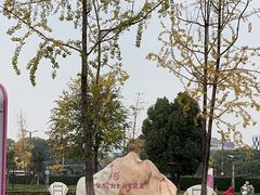 -成都市妇女儿童中心医院(中心院区)