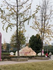 -成都市妇女儿童中心医院(中心院区)