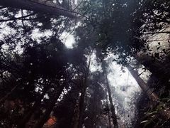 -云中大漈
