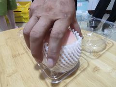 -老袁家蜜桃农场·阳山水蜜桃