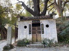 -塔川景区