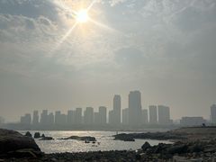 -小麦岛公园
