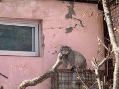 -青藏高原野生动物园