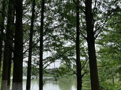 -苏州太湖国家湿地公园