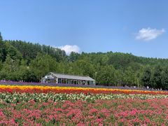 -富田农场