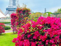 -文华公园(禅城区)