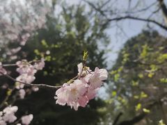 -西安市长乐公园