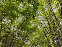 -成都杜甫草堂博物馆