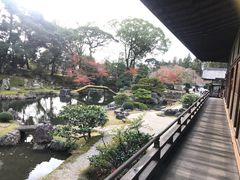 -醍醐寺