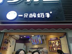 门面-一只酸奶牛(八一路店)