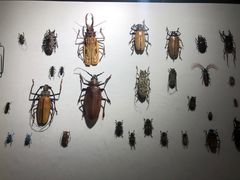 -燕莎友谊商城(亮马桥店)