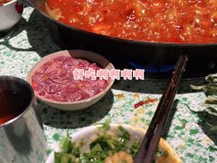 -五里关火锅(牛市口店)