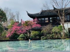 -杭州西子湖四季酒店-WL BISTRO西湖餐厅(灵隐路店)