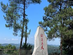 -铁山坪森林公园