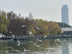 -蠡湖大桥公园
