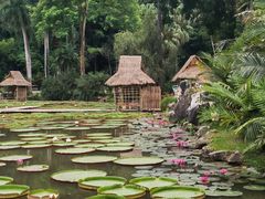 -中国科学院西双版纳热带植物园