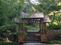 -上海市保健医疗中心