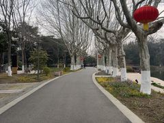 -泰州凤城河风景区-泰山公园