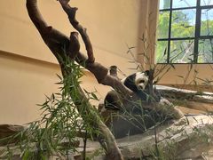 -宁波野生动物园