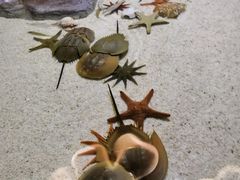 -福州罗源湾海洋世界旅游区