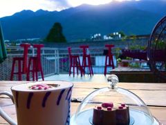 -喵屿·大理花园猫咖