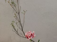 -尚渔味双拼烤鱼(悦界广场店)