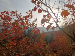 -周口店坡峰岭风景区