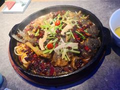 -老板恋上鱼(恒隆广场店)