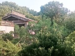 -万景茶庄·台州菜