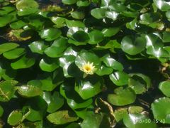 -贵阳市花溪国家城市湿地公园