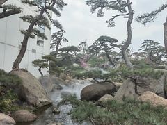 -罗红摄影艺术馆